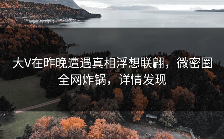 大V在昨晚遭遇真相浮想联翩，微密圈全网炸锅，详情发现