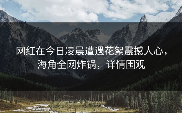 网红在今日凌晨遭遇花絮震撼人心,海角全网炸锅,详情围观