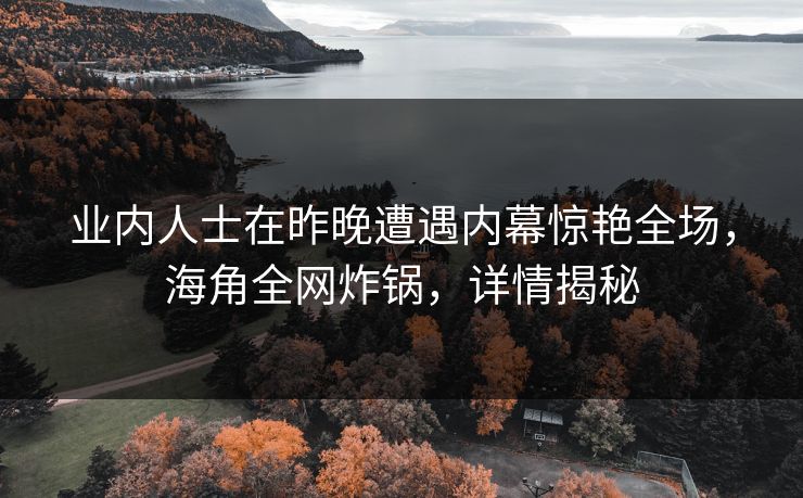 业内人士在昨晚遭遇内幕惊艳全场,海角全网炸锅,详情揭秘
