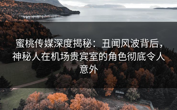 蜜桃传媒深度揭秘:丑闻风波背后,神秘人在机场贵宾室的角色彻底令人意外 第1张 蜜桃传媒深度揭秘:丑闻风波背后,神秘人在机场贵宾室的角色彻底令人意外 第1张