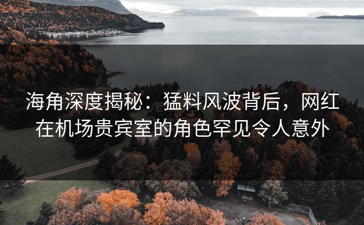 海角深度揭秘：猛料风波背后，网红在机场贵宾室的角色罕见令人意外