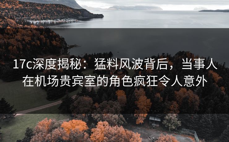 17c深度揭秘：猛料风波背后，当事人在机场贵宾室的角色疯狂令人意外  第1张